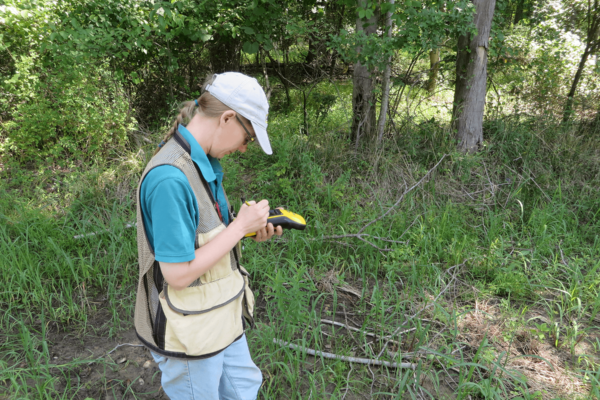 Wallace Montgomery: Cherry Hill Road Extension Wetland Mitigation