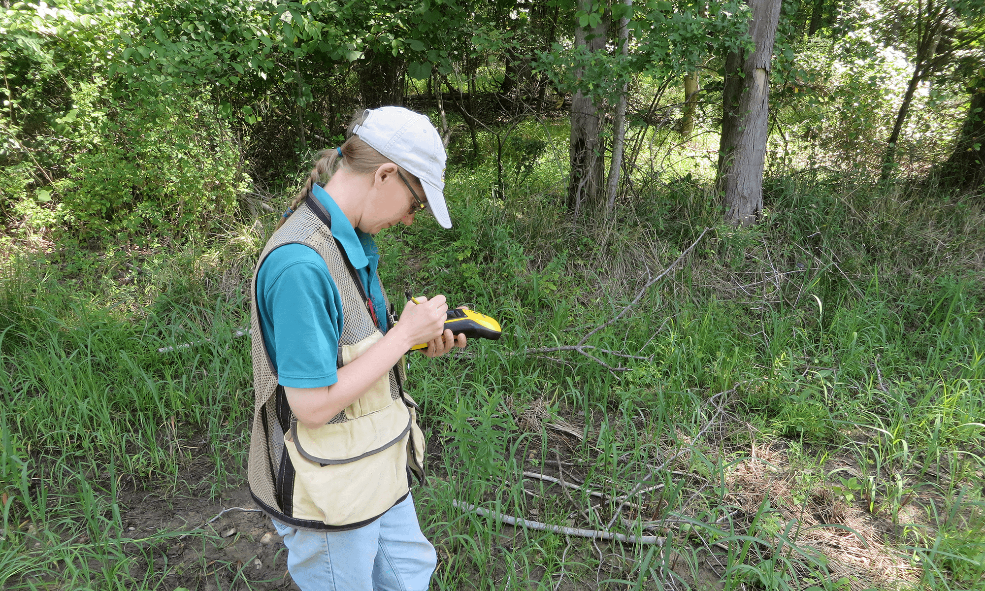 Wallace Montgomery: Cherry Hill Road Extension Wetland Mitigation