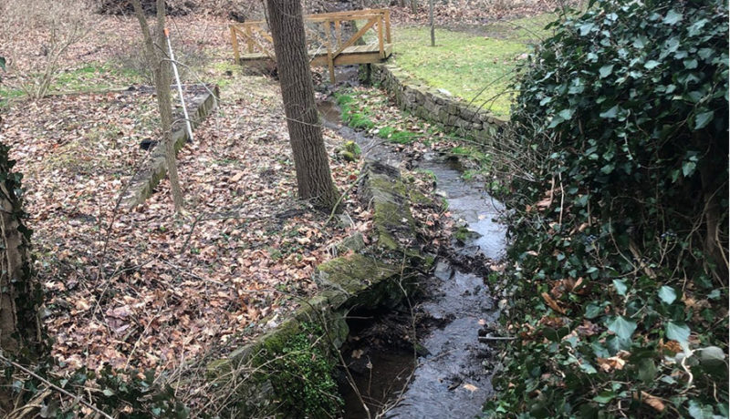 Wallace Montgomery: Gross Run Stream Restoration Surveys