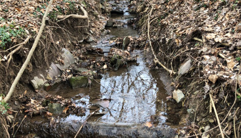 Wallace Montgomery: Gross Run Stream Restoration Surveys