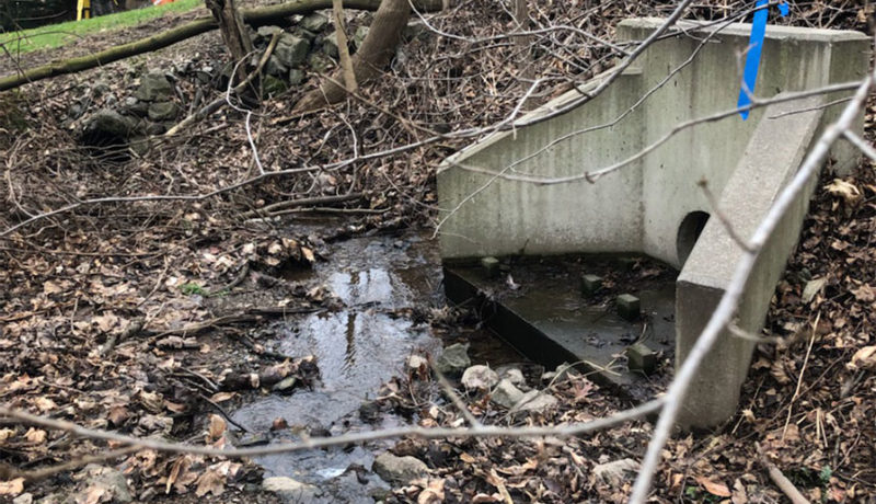 Wallace Montgomery: Gross Run Stream Restoration Surveys