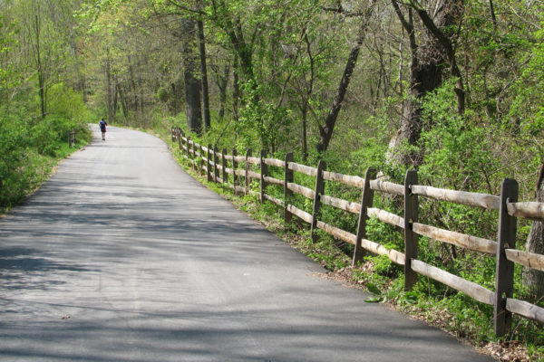 Wallace Montgomery: Red Run Stream Trail