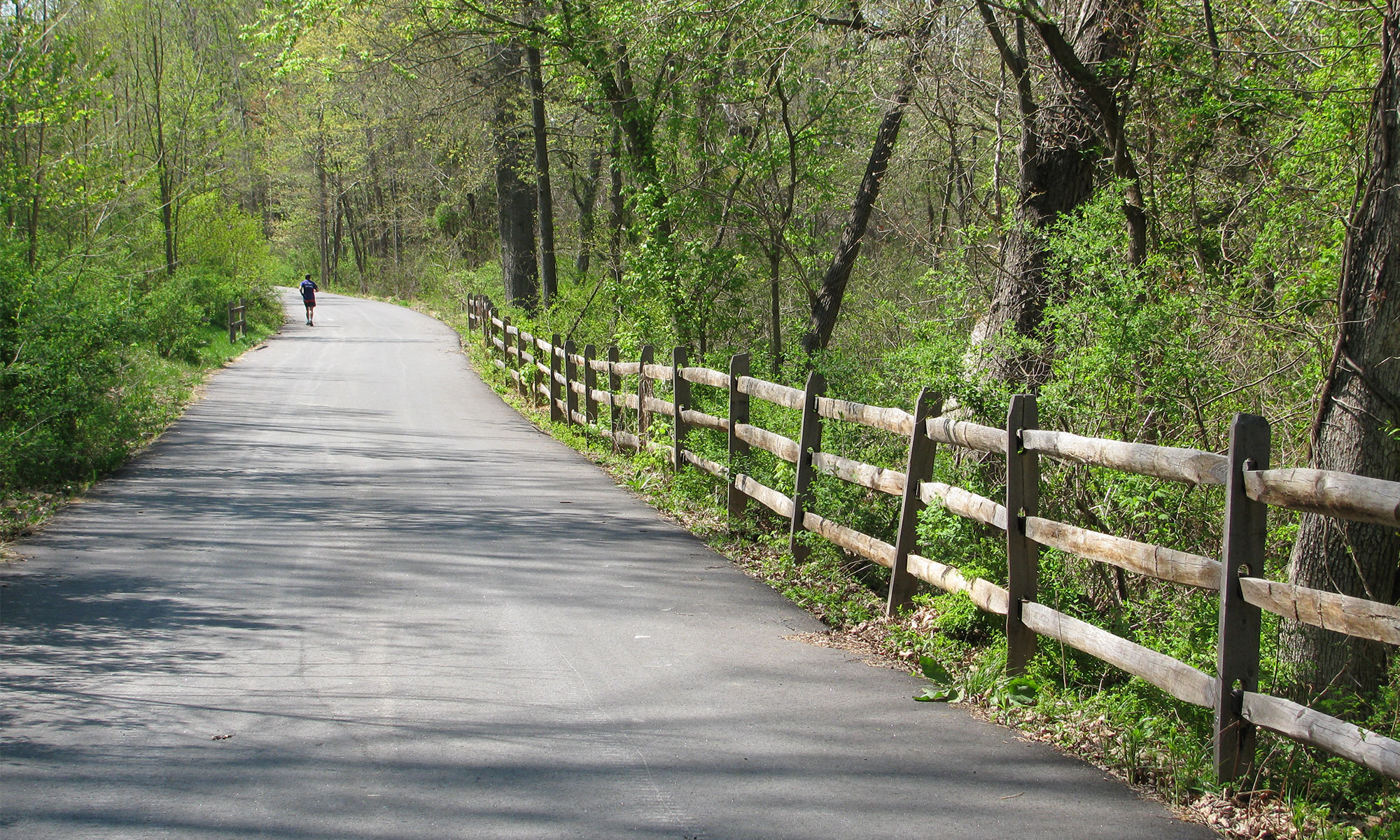 Wallace Montgomery: Red Run Stream Trail