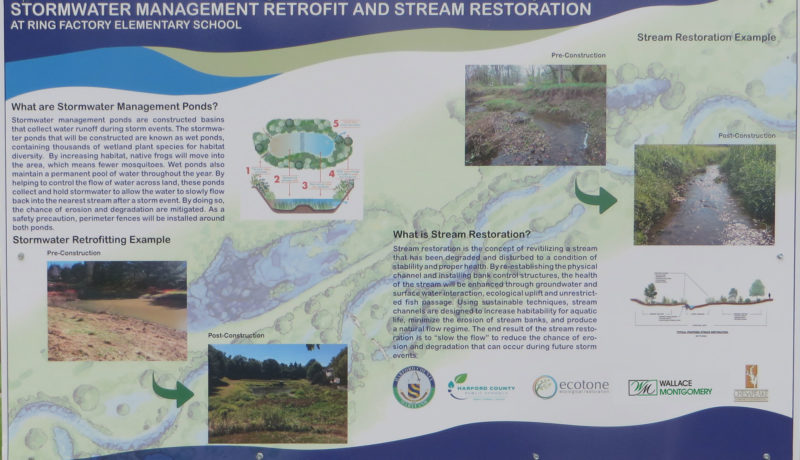 Wallace Montgomery: Wallace Montgomery: Ring Factory Elementary School SWM Pond Retrofit and Stream Restoration