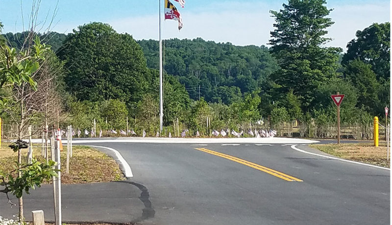 Wallace Montgomery: Rocky Gap State Park