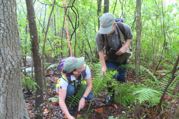 Wallace Montgomery: Environmental Design and Permitting